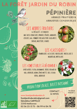 La Forêt Jardin du Robin
