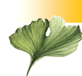 Regain