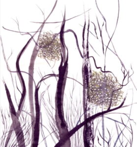 Suze Agnes Claessen
